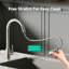 Brayden Studio Pull Down Kitchen Faucet