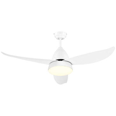 Ceiling Fan