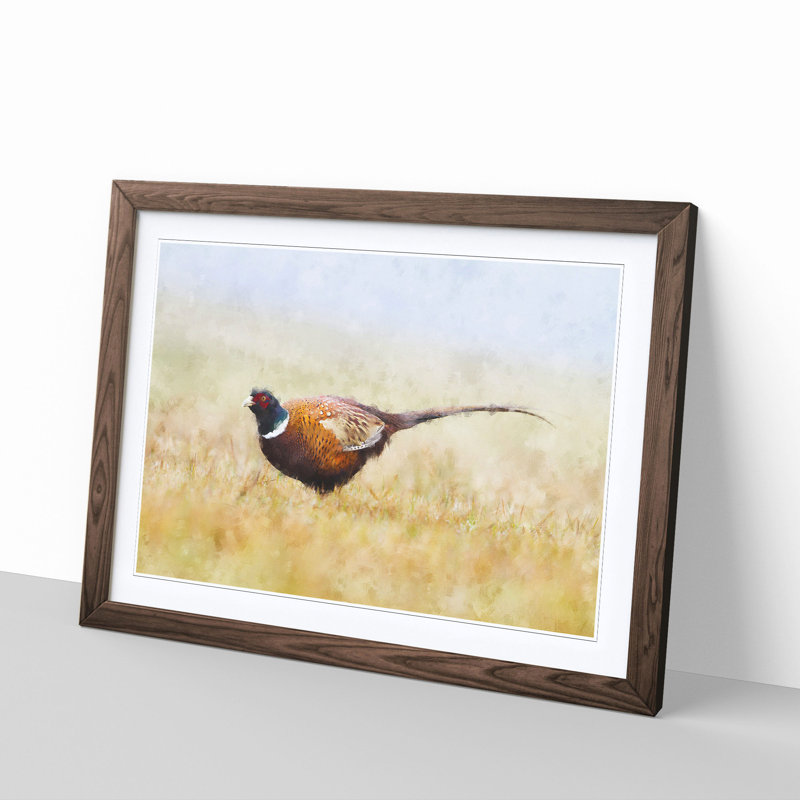 A Pheasant Bird - 1 Piece Picture Frame Rectangle Painting, Walnut, 45cm H x 63cm W x 2cm D