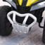 Freeport Park Push/Pull Ride On-1642910766