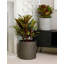 Jardinières en pot-825989499-825989501