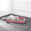 Emzley Scratching Post-1404588948