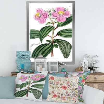 «Vintage Plant Life XXIII», peinture sur toile