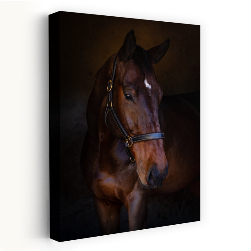 Art contemporain Portrait de cheval contemporain, H 24 po x l 16 po