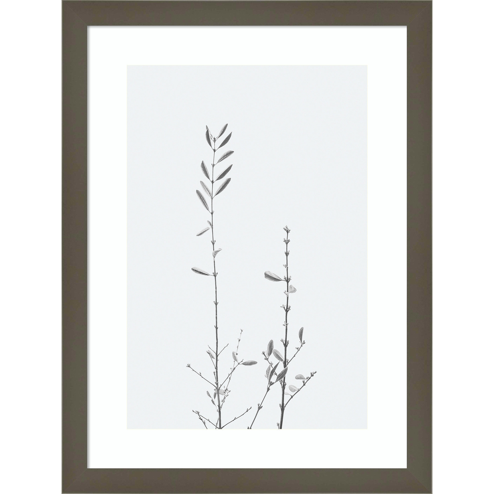 Adela Retro Tennessee Botanical Print No 2 Framed On Paper by Adela Photograph, 17" H x 13" W x 1" D, Gray