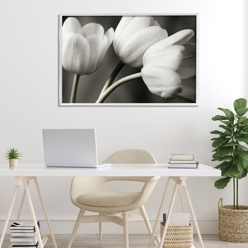 Rangée de tulipes monochromes, estampe numérique, conception par Tom Quartermaine, Encadrement giclée blanc côtier
