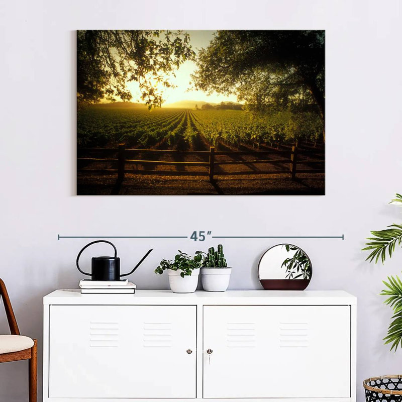 Alvord Oakville Vineyard, H 26 po x l 39 po