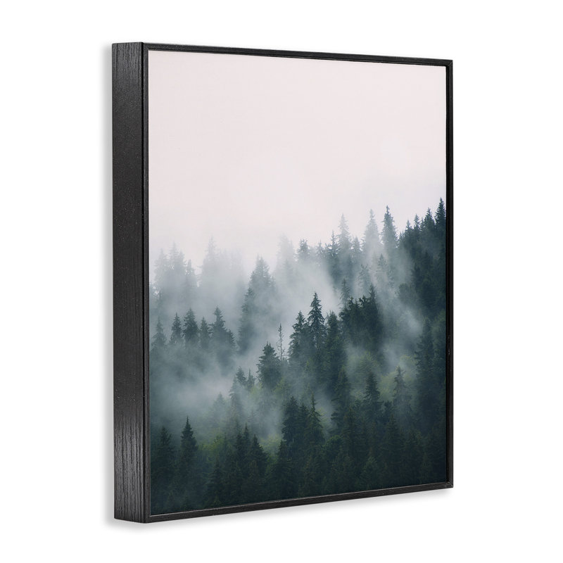 "Stupell Industries Misty Forest Trees", art mural sur toile par Sissi et Seb, H 30 po x l 24 po x P 1,5 po