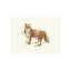 Forest Morning II Print by Sara Brown-26950329-26950327