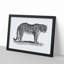 Leopard in Black & White by George Shaw - Framed Print-55617528-55617531