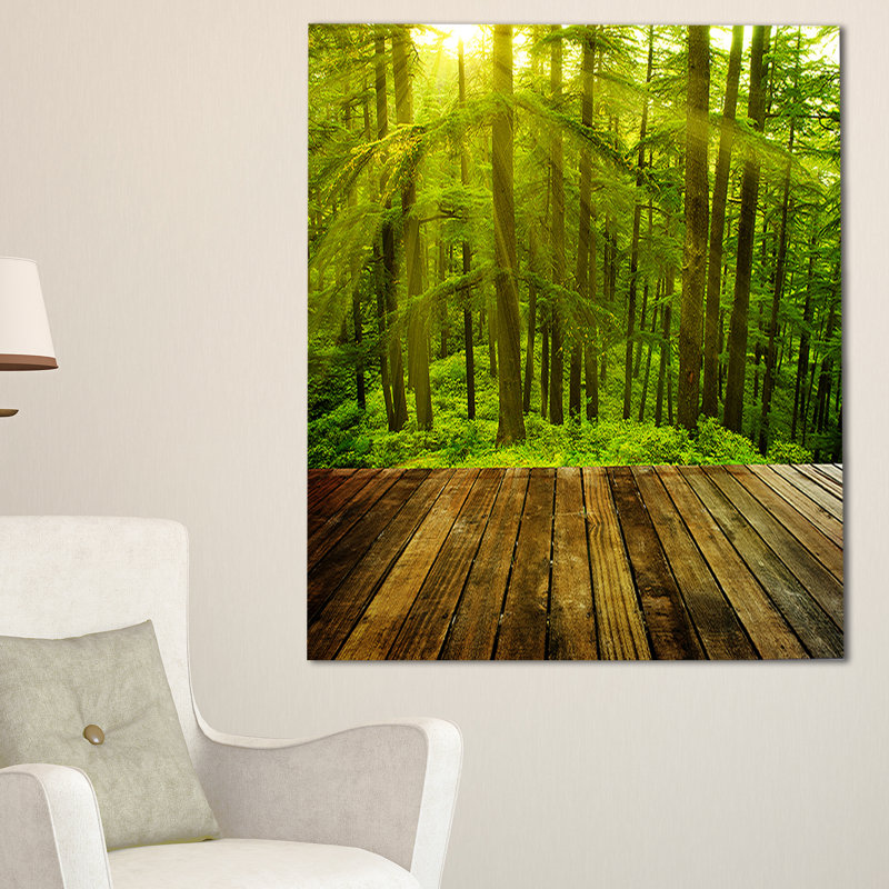 «Golden Sunlight in Pine Forest», reproduction de photo sur toile tendue, H 40 po x l 30 po x P 1 po