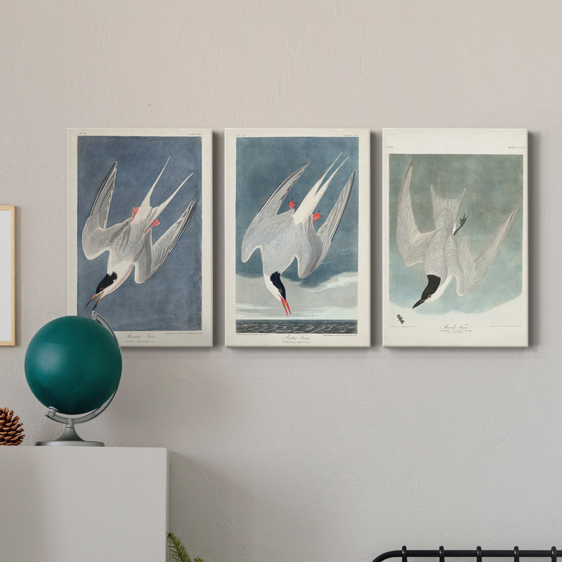 Pl 240 Roseat Tern - ensemble de 3 impressions sur toile tendue, H 27 po x l 54 po x P 1 po