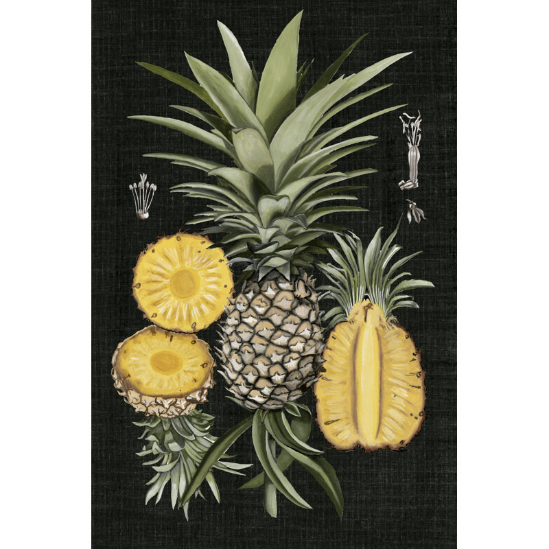 Pineapple Botanical Study I by Naomi McCavitt -  Graphic Art, 76 cm H x 51 cm W, Black Floater Frame