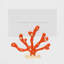 Coral placecard holders-1173952988