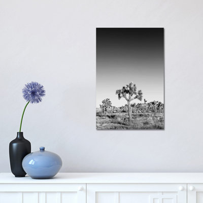 Joshua Trees Monochrome 1 Piece Wall Art on Canvas