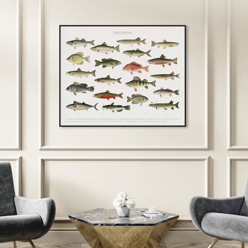 " American Fish " Painting Print, Black Framed, 45" H x 36" W