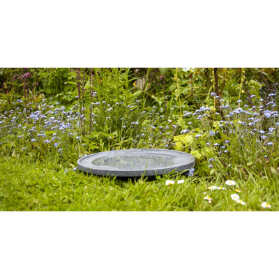 Minonk Birdbath
