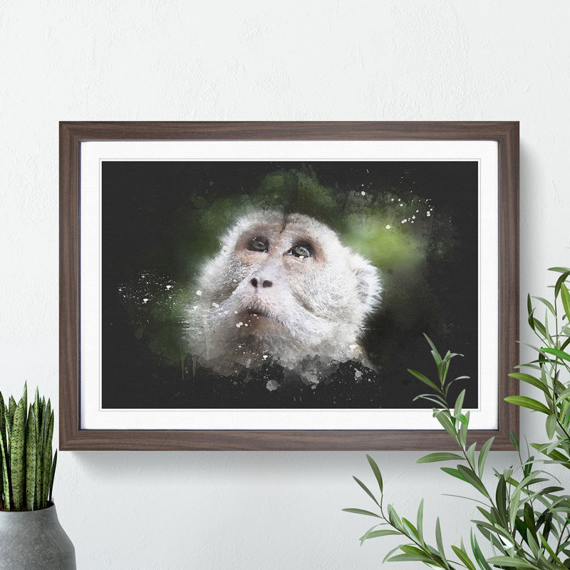 Macaque Monkey - Picture Frame Graphic Art, 36cm H x 48cm W x 2cm D, Oak Framed