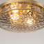2-light Clear Hammered Glass Flush Mount-263922118