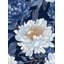 Papier peint floral minuit bleu marine