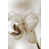 Glass Coat