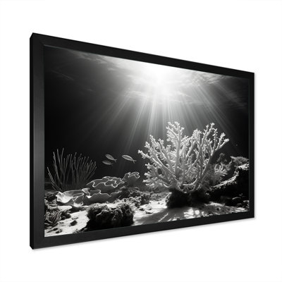 «Black and White Coral Artistic Ocean Ballet I», reproduction sur toile