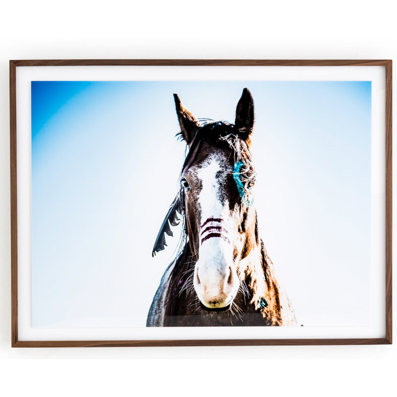 War Horse Print, 36" H x 48" W