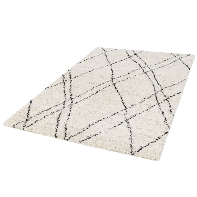 Urgeon Shag Area Rug, Rectangle 160cm x 230cm