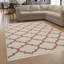 Sauer Oriental Area Rug-208213637