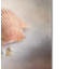 «Sea Shell and Pearls» de Vidur, impression sur toile tendue-22073591