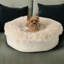 Lit pour chien PupPouf Luxe