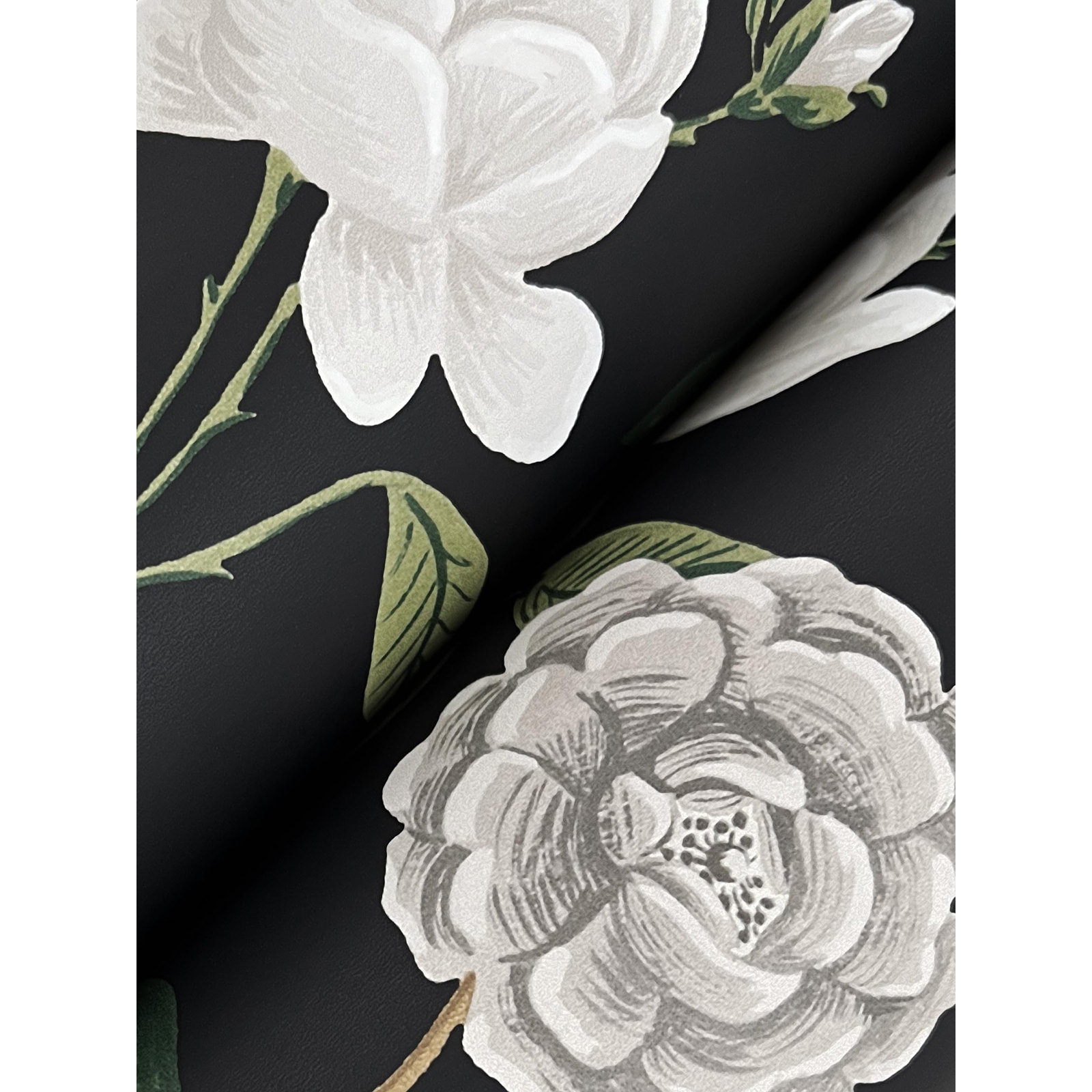 Rifle Paper Co. Roses Wallpaper, Black