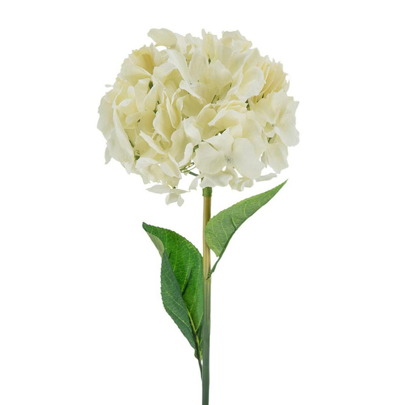 Hydrangea Arrangement, Cream
