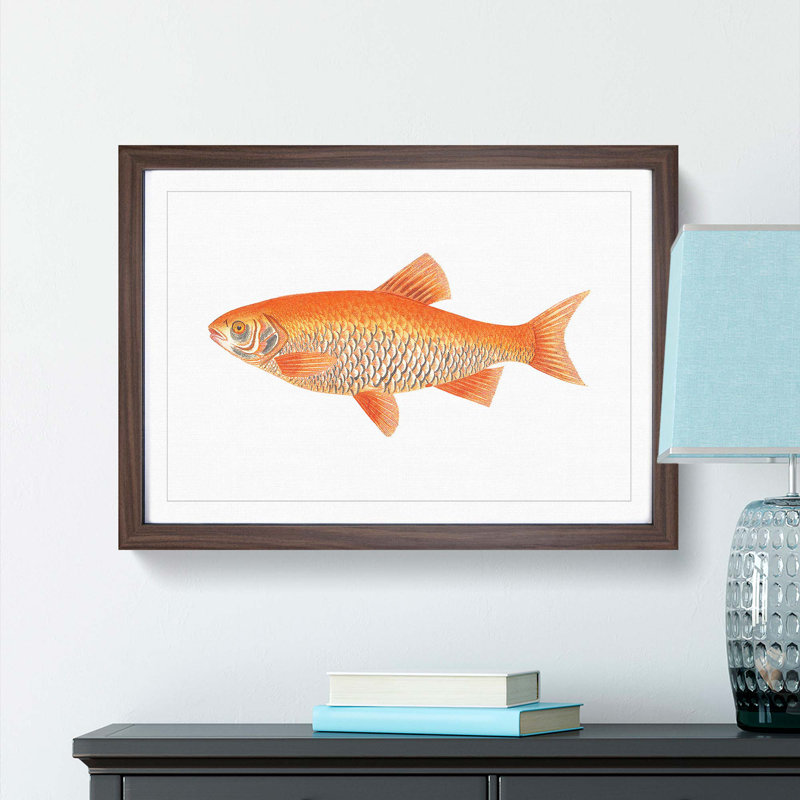 Orange Carp Fish by George Shaw - Framed Print, 27cm H x 36cm W x 2cm D, Walnut Framed
