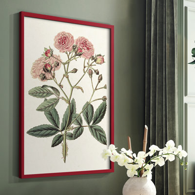 Pink Floral Mix V Framed Print - Solid Wood