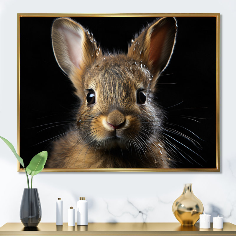 Cute Rabbit Portrait - Animals Canvas Wall Art, Cadre flottant doré, H 12 po x l 20 po x P 1 po