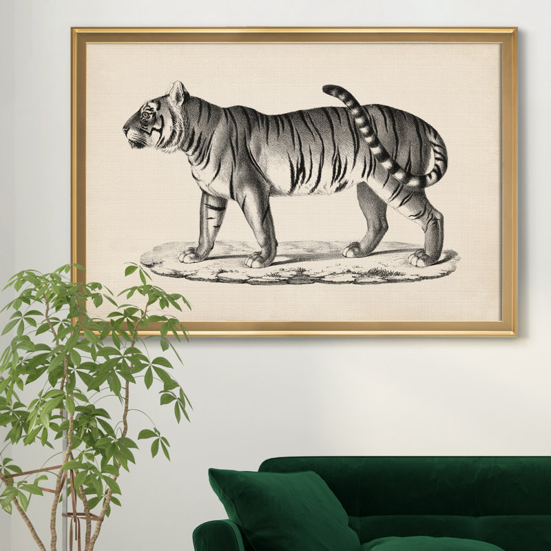 Brodtmann mâle tigre - cadre photo, reproduction d'art sur toile, H 18,5 po x l 24,5 po x P 1,5 po, Doré