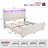Upholstered Sleigh Bed with Drawers and Shelves-1354849070