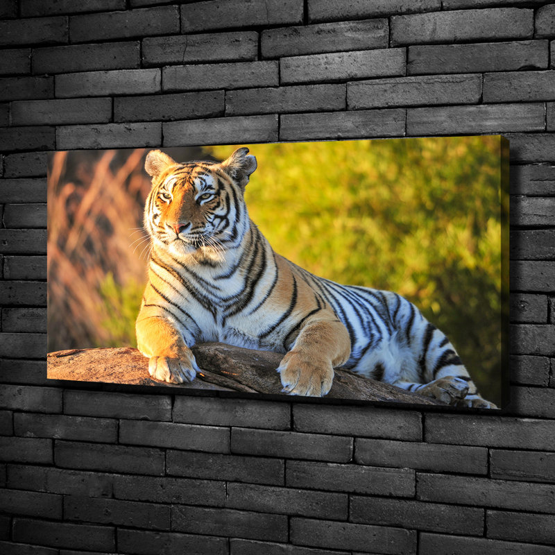 Portrait of a Tiger 1 Piece Wrapped Canvas Wall Art