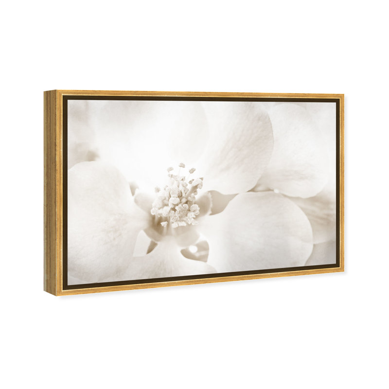 «Floral and Botanical Orchid Love», reproduction d'art graphique sur toile, H 36 po x l 54 po, Impression encadrée, Doré