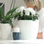 Peters Pot Planter-39723477-39723478