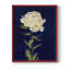 Impression encadrée «PRETTY AS A PEONY I» - bois massif-996636774-996636777
