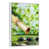 Floating Frame White