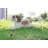 Shih Tzu Lying Down Statue-1058368217