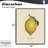 Lemon Fruit Portrait Framed Giclee, design by Danielle Murray-222979014-222979012