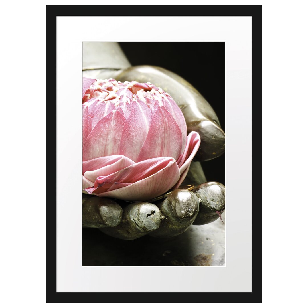 Gerahmtes Poster Lotus auf der Hand eines Buddhas