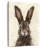 Brampt European Hare I-108445793
