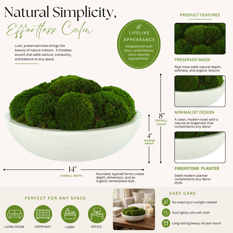 5" Artificial Moss Plant in Planter, 8" H x 14" W x 14" D