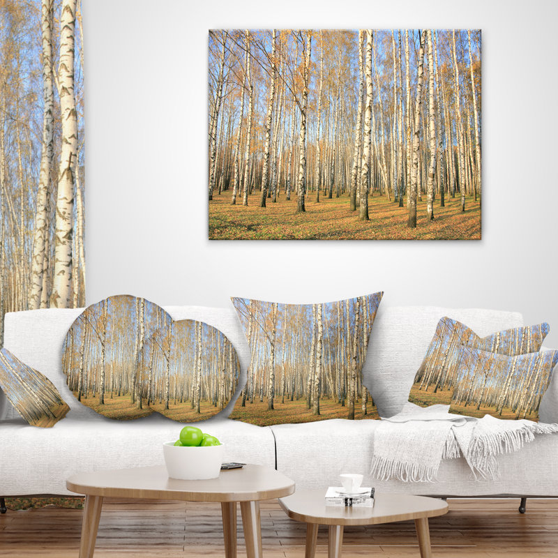 Coussin d'automne Autumn Birch Grove in Sunlight, 16 po x 1 po, Carré