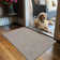  Braided Rug Washable Indoor/Outdoor Weatherproof Beige/Gray Rug